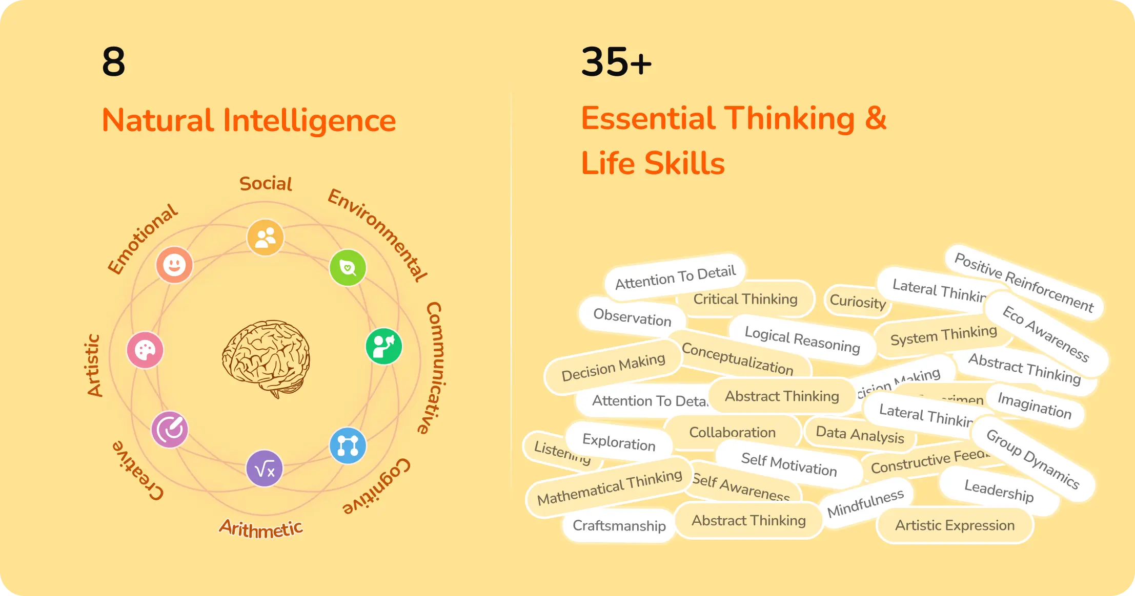 Detailed activity design for cognitive development